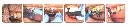 3.webp