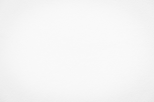 [ECHANTILLON] - Pledget PTFE 100 x 20 x 1 mm sans perforation/rectangulaire. Lot de 12 pièces - Serag-Wiessner (PL22)